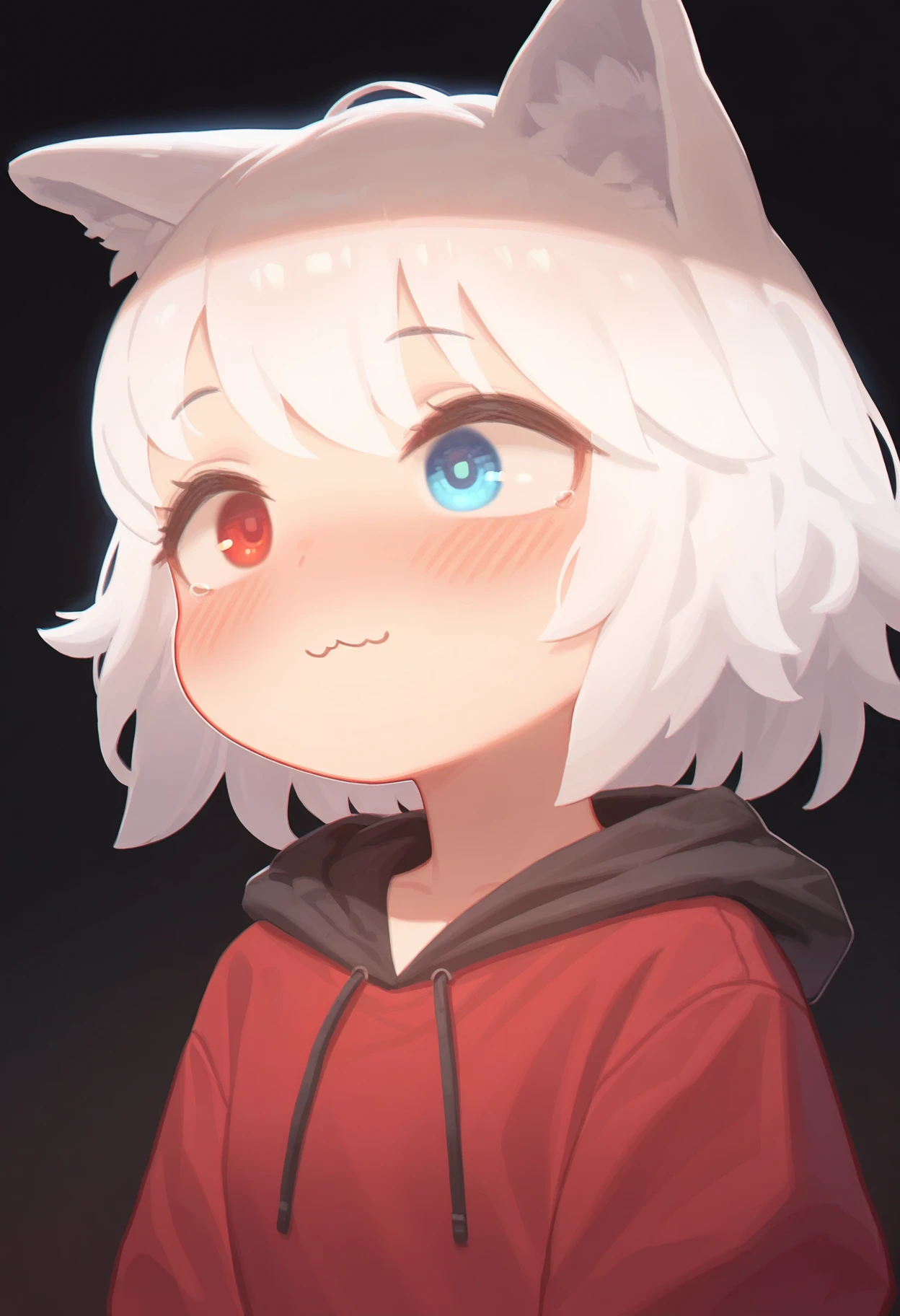 masterpiece,best quality,amazing quality,
solo, 1girl, animal ears, heterochromia, blue eyes, red eyes, blush, :3, black background, white hair, upper body, hood,
 <lora:Bkbbkbkk_epoch_9:1>