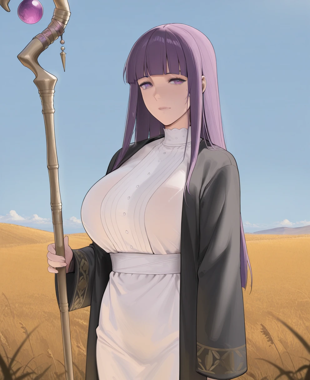 arvinsz style LoRA for PonyXL/Illustrious v1.0