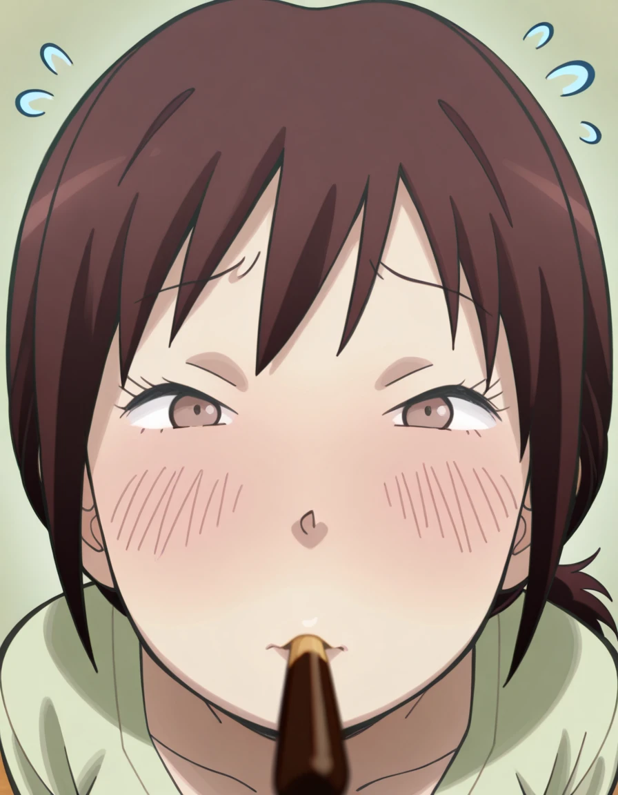 masterpiece, best quality, amazing quality,, <lora:sumire-hara-s1s2-illustriousxl-lora-nochekaiser:1>, sumire hara, brown hair, brown eyes, ponytail, short ponytail, mature female, breasts, anime screencap,, <lora:incoming-pocky-kiss-illustriousxl-lora-nochekaiser:1>, incoming pocky kiss, looking at viewer, blush, food, mouth hold, flying sweatdrops, pocky, closed eyes, foreshortening, ,