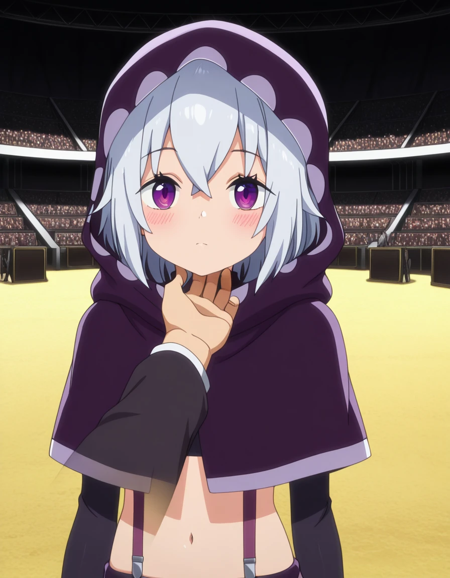 masterpiece, best quality, amazing quality,, <lora:tisse-garland-s1-illustriousxl-lora-nochekaiser:1>, tisse garland, short hair, bangs, purple eyes, grey hair, anime screencap, navel, midriff, hood, crop top, capelet, suspenders, cloak, hood down, hooded cloak,, <lora:stroking-anothers-chin-pov-illustriousxl-lora-nochekaiser:1>, stroking another's chin pov, stronking another's chin, pov, pov hands, blush,, arena, seats, stage, event, audience, cowboy shot, solo, looking at viewer,
