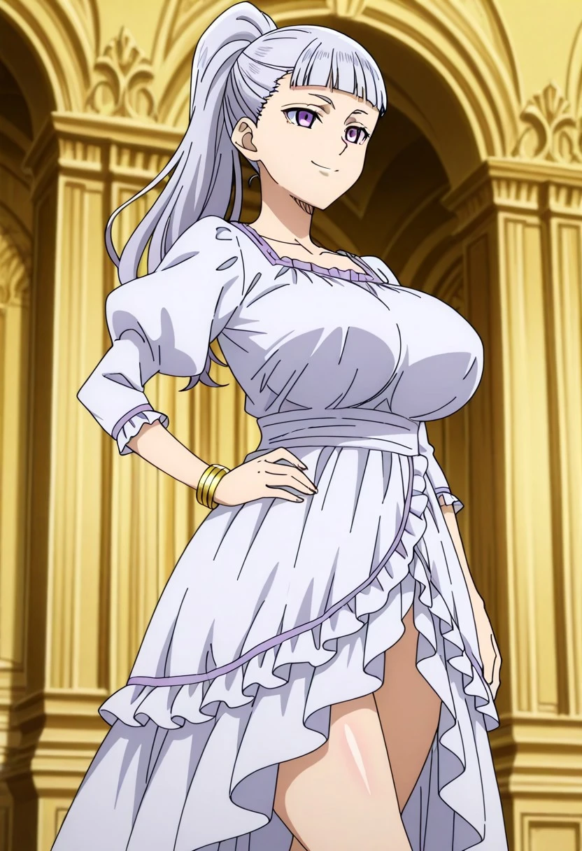 Acier Silva (アシエ・シルヴァ) - Black Clover [4 Outfits] V1