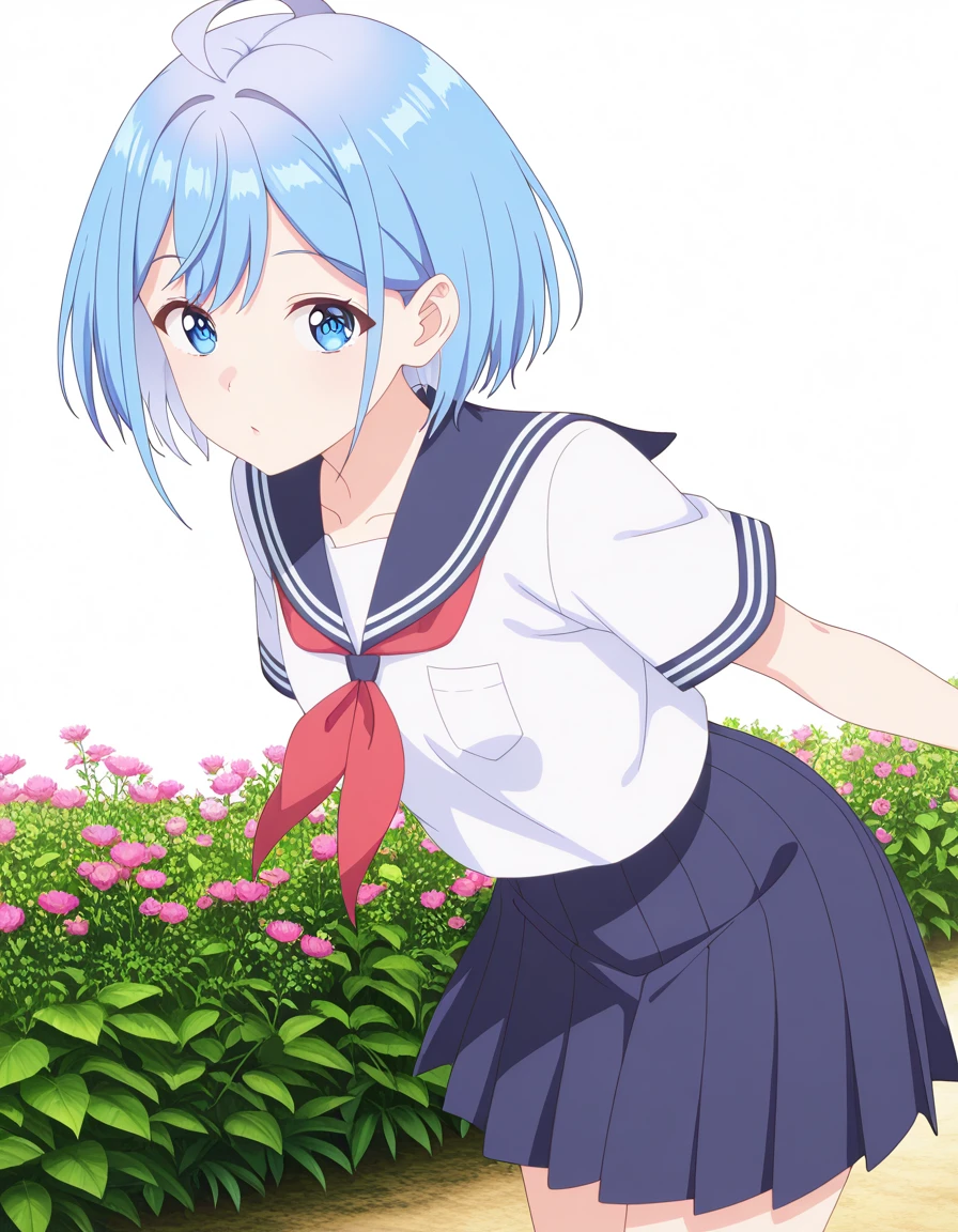 masterpiece, best quality, amazing quality,, <lora:himari-inuzuka-s1-illustriousxl-lora-nochekaiser:1>, himari inuzuka, short hair, blue eyes, blue hair, ahoge, mature female, small breasts, anime screencap, shirt, skirt, white shirt, short sleeves, pleated skirt, serafuku, sailor collar, blue skirt, neckerchief, blue sailor collar, red neckerchief, leaning forward,, garden, flowers, path, plants, tranquil, cowboy shot, solo, looking at viewer, <lora:transparent-background-illustriousxl-lora-nochekaiser:1>, transparent background, simple background, white background