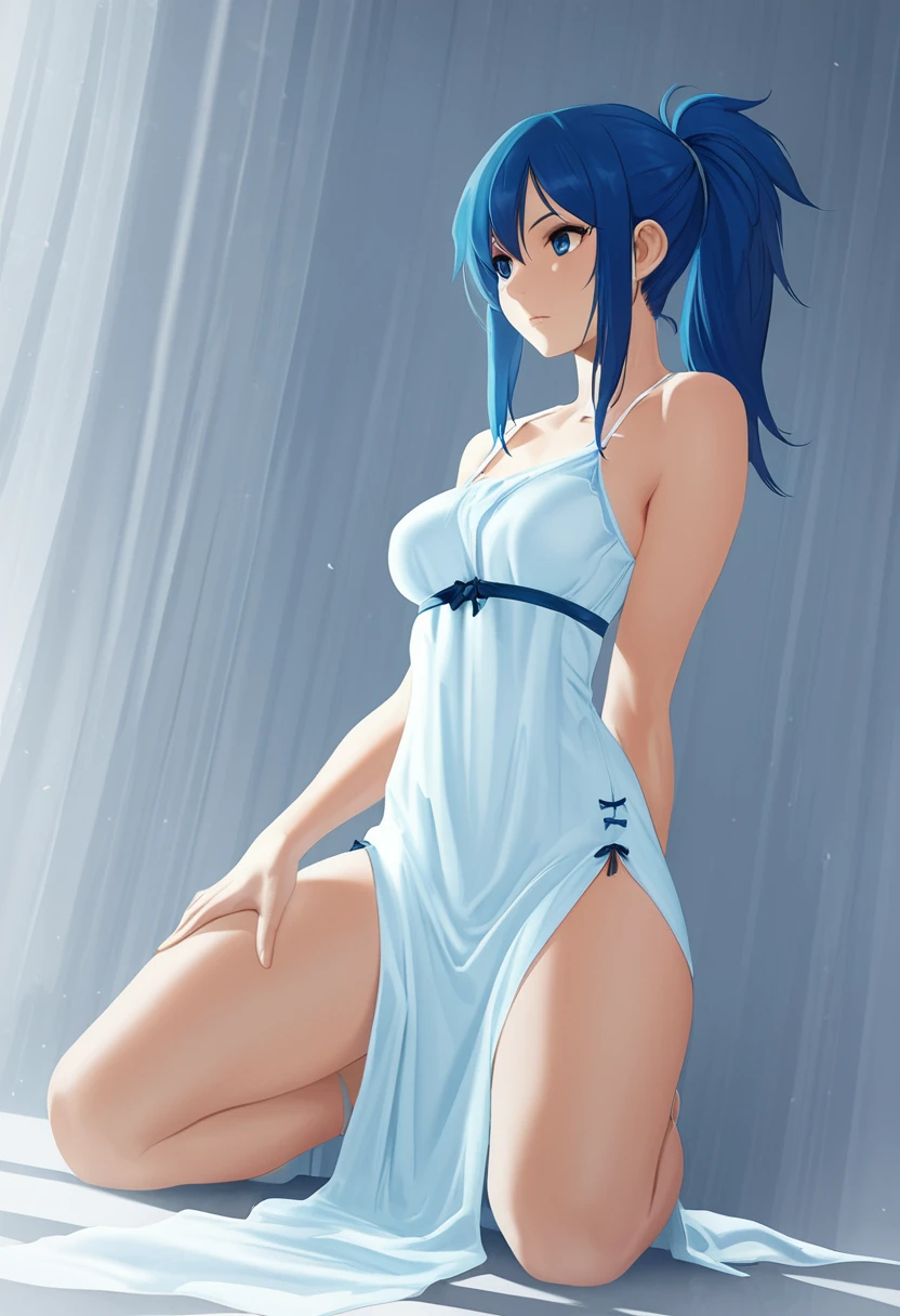 TheMaestroNoob 1.0-Illustrious