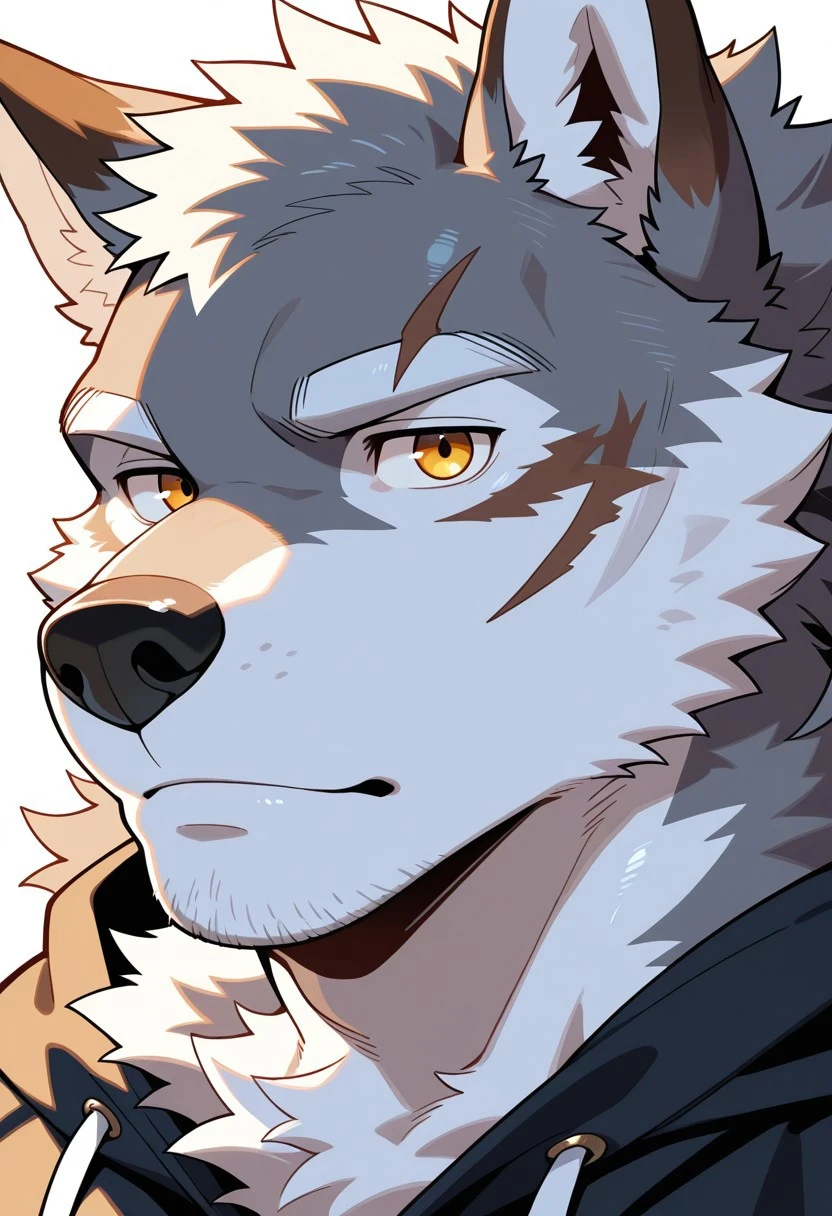 Luno [ Furry muscle wolf anthropomorphic ] 