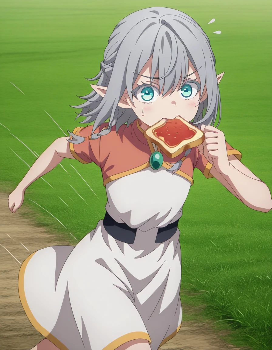 masterpiece, best quality, amazing quality,, <lora:tessia-eralith-s1-illustriousxl-lora-nochekaiser:1>, tessia eralith, hair between eyes, green eyes, grey hair, braid, pointy ears, medium hair, twin braids, aqua eyes, elf, anime screencap, dress, jewelry, short sleeves, white dress,, <lora:food-in-mouth-running-illustriousxl-lora-nochekaiser:1>, food in mouth running, food in mouth, running, bread, bread slice, food, toast in mouth, toast, sweatdrop, motion lines, motion blur, outdoors, feet out of frame, field, grass, open_space, farming, crops, cowboy shot, solo, looking at viewer,