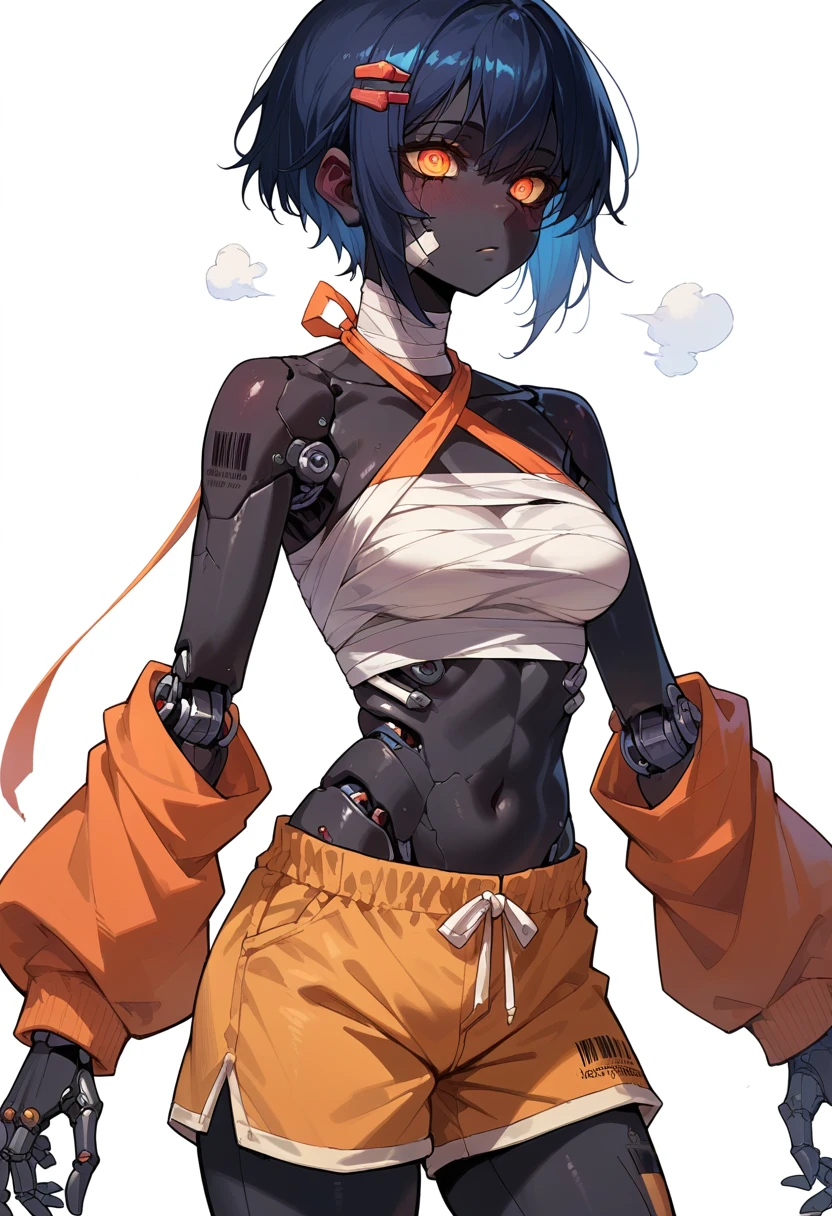 score_9, score_8_up, score_7_up, source_anime,
1girl, solo, doll joints, medium breasts, mechanical_eyes, joints, heat vents on body, barcode tattoo, mechanical_breasts, white background, cracked skin, body wraps, wraps, shorts, halter top, black skin,