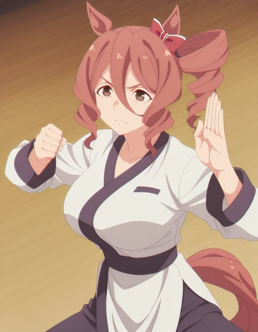 masterpiece, best quality, amazing quality,, <lora:norn-ace-s1-illustriousxl-lora-nochekaiser:1>, norn ace, brown hair, animal ears, hair between eyes, brown eyes, side ponytail, horse ears, horse girl, drill hair, mature female, breasts, anime screencap, <lora:kung-fu-illustriousxl-lora-nochekaiser:1>, kung fu, martial arts, training, fighting stance, cowboy shot, hands up, legs up, ,
