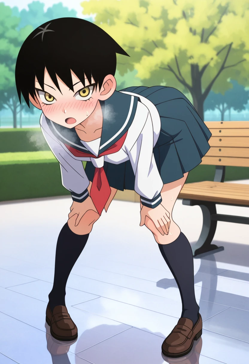 masterpiece, best quality, amazing quality, absurdres, 1girl, solo, kumeta kouji \(style\), mayoww, yellow eyes, black hair, short hair, tsurime, serafuku, sailor collar, neckerchief, pleated skirt, <lora:Mitama_Mayo_Sayonara_Zetsubou_Sensei_ill:0.9>, front view, full body, standing, bent over, hands on own knees, pigeon-toed, sweat, sweatdrop, blush, open mouth, heavy breathing, steaming body, outdoors, park, day, reflective floor, park bench, skindentation, detailed clothing folds, depth of field, sharp <lora:lightingSlider:1>