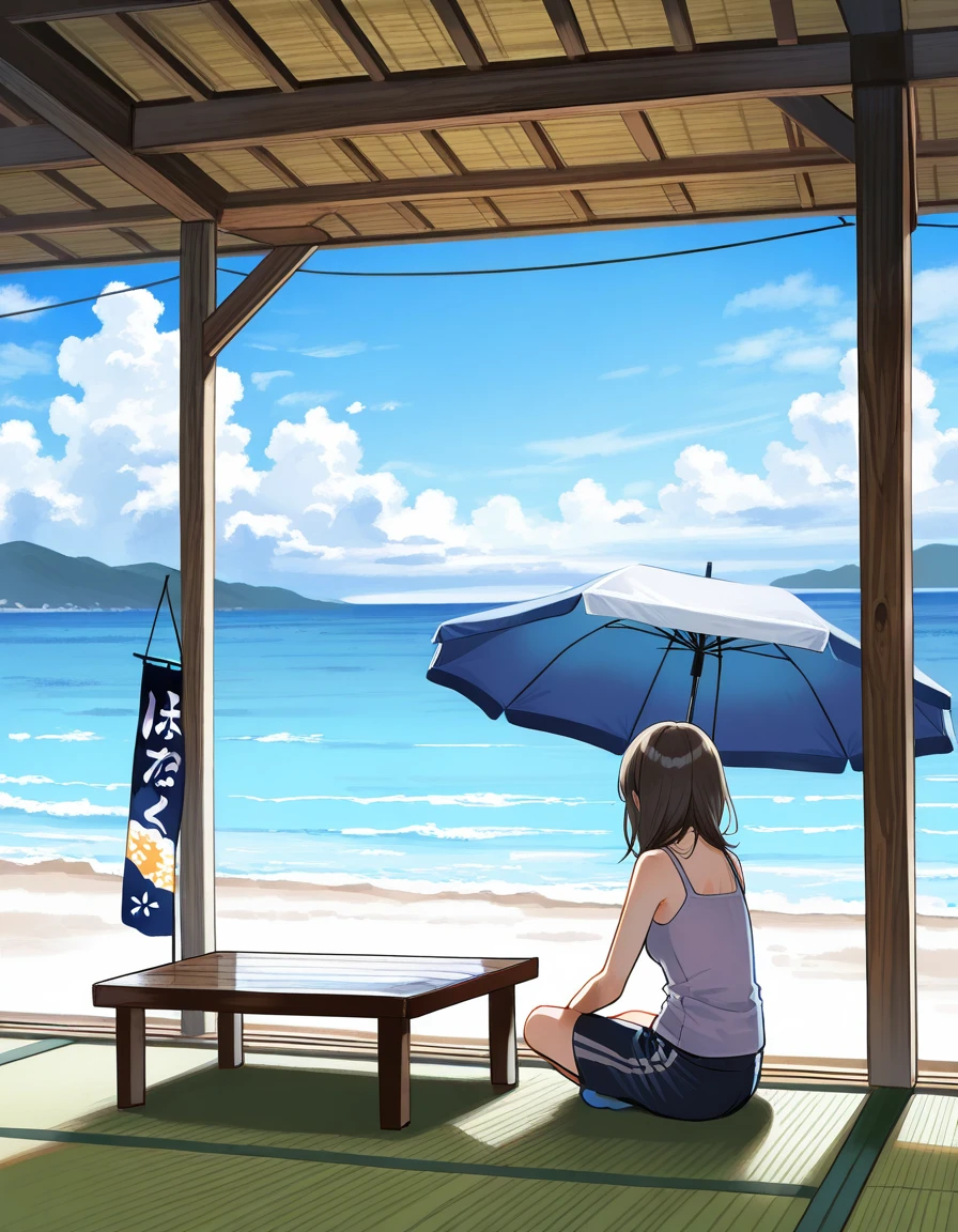 海の家 / beach house V1