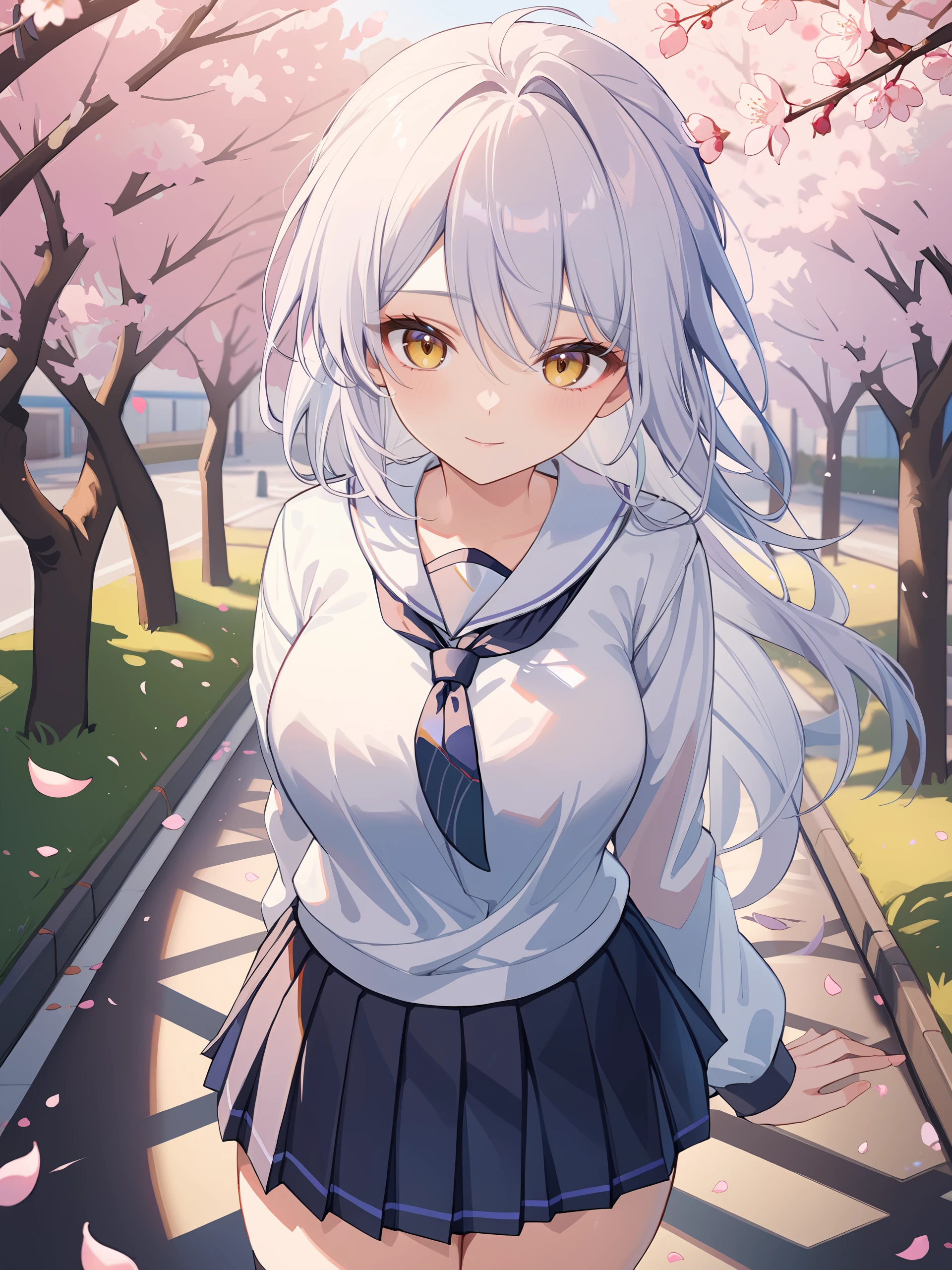 illustration, incredibly absurdres, ultra detailed, masterpiece, best quality, perfect features, intricate details, ray tracing, very aesthetic, (ask \(askzy\), hiten \(hitenkei\):0.6) <lora:Char-ZZZ-Yixuan-V1-XL:1:hr=0.6>, 1girl, solo, yixuan \(zenless zone zero\), solo, school uniform, white shirt, sweater, pleated skirt, light smile, looking at viewer, outdoors, street, cherry blossoms, petals, depth of field