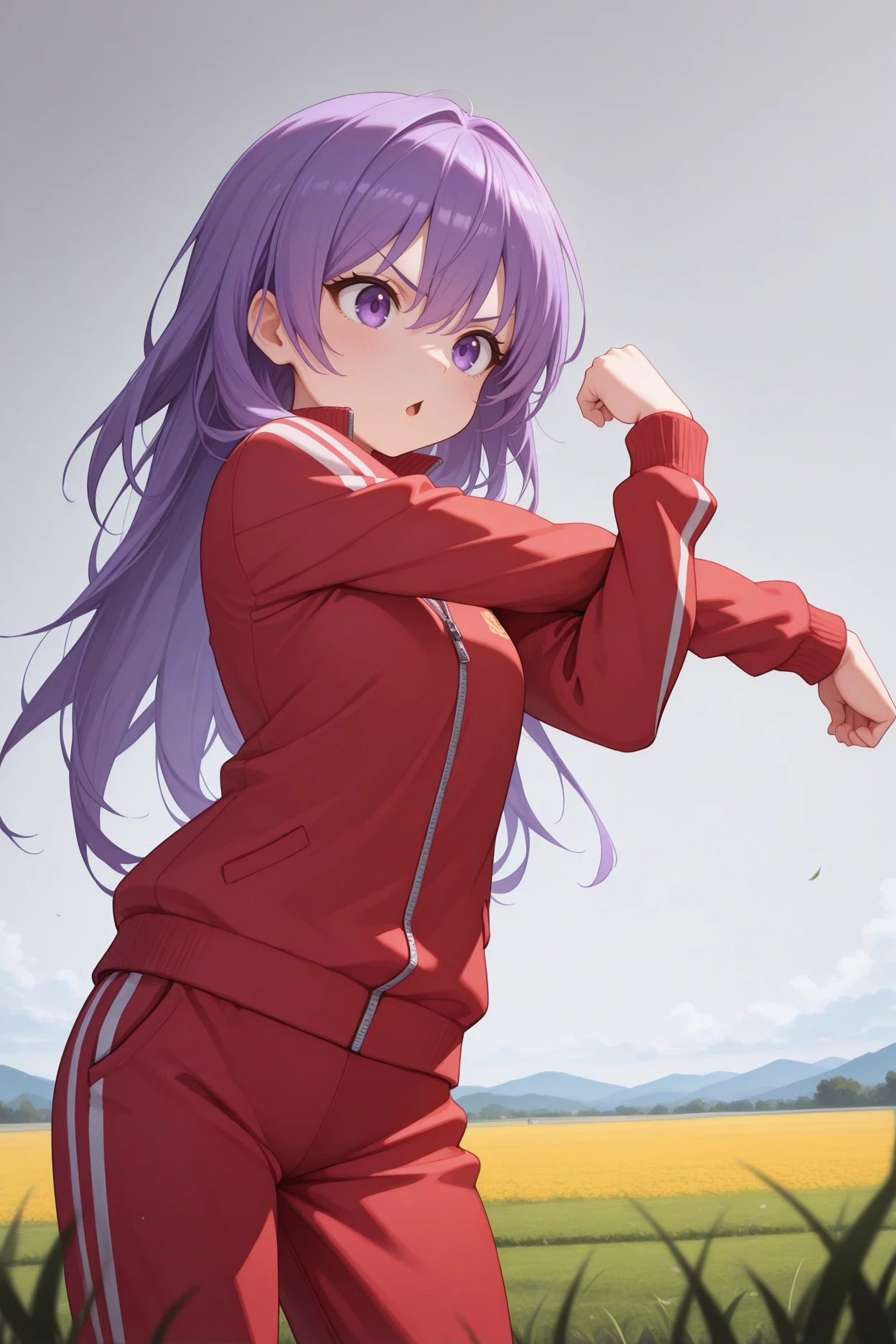 masterpiece, best quality, 1girl, solo, <lora:abirie-illu-nvwls-v1-000006:1> mkir, purple hair, long hair, hair between eyes, purple eyes, red track suit, track pants, cross-body stretch, v-shaped eyebrows, chestnut mouth, field, grey sky, road