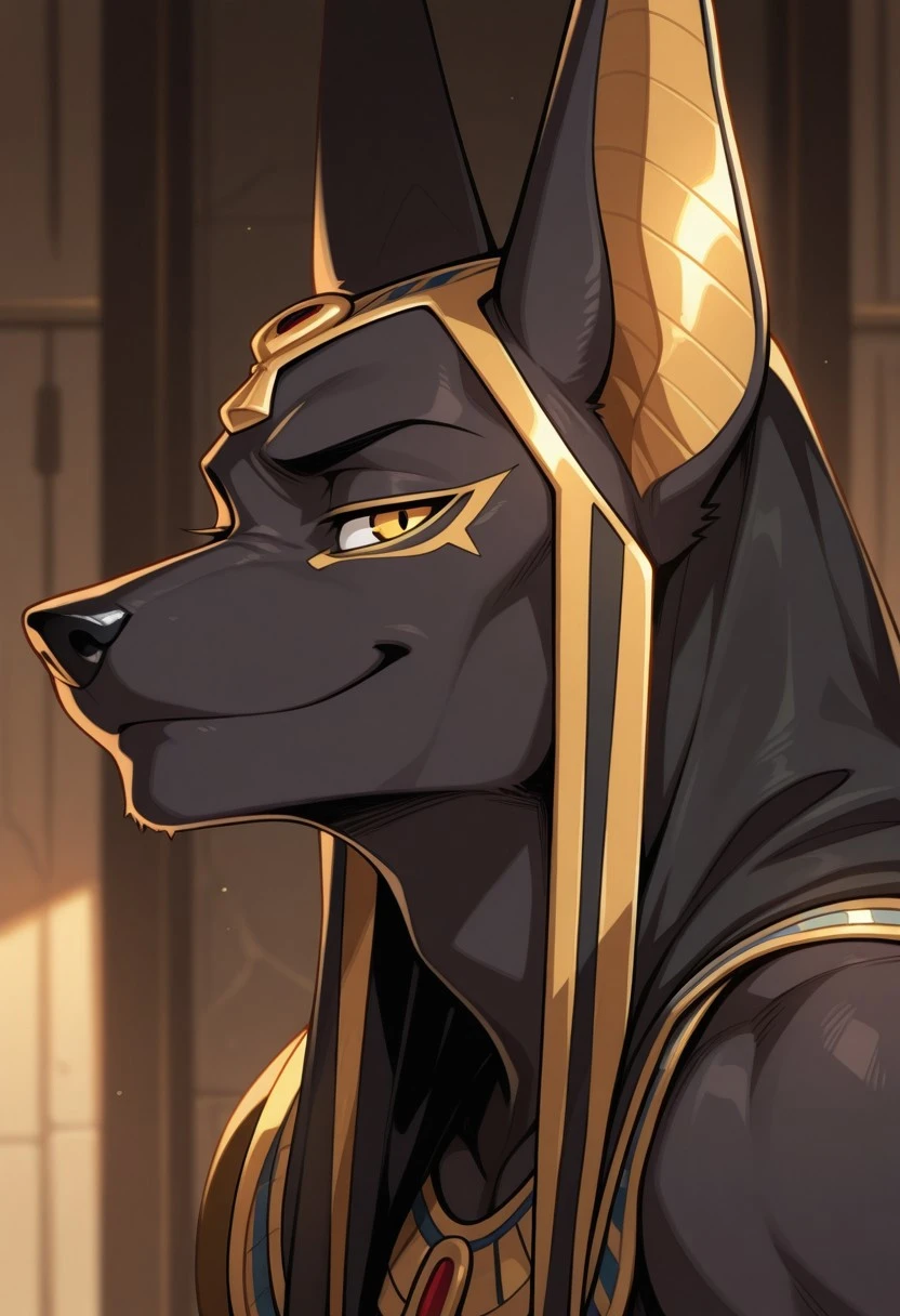 Anubis V2