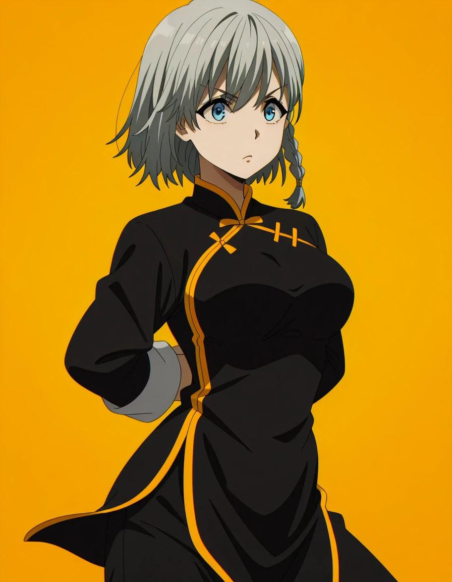 masterpiece, best quality, amazing quality,, <lora:shadow-beta-s1-illustriousxl-lora-nochekaiser:1>, beta, short hair, blue eyes, braid, grey hair, mature female, medium breasts, anime screencap, <lora:kung-fu-illustriousxl-lora-nochekaiser:1>, kung fu, martial arts, training, fighting stance, cowboy shot, hands behind back, ,
