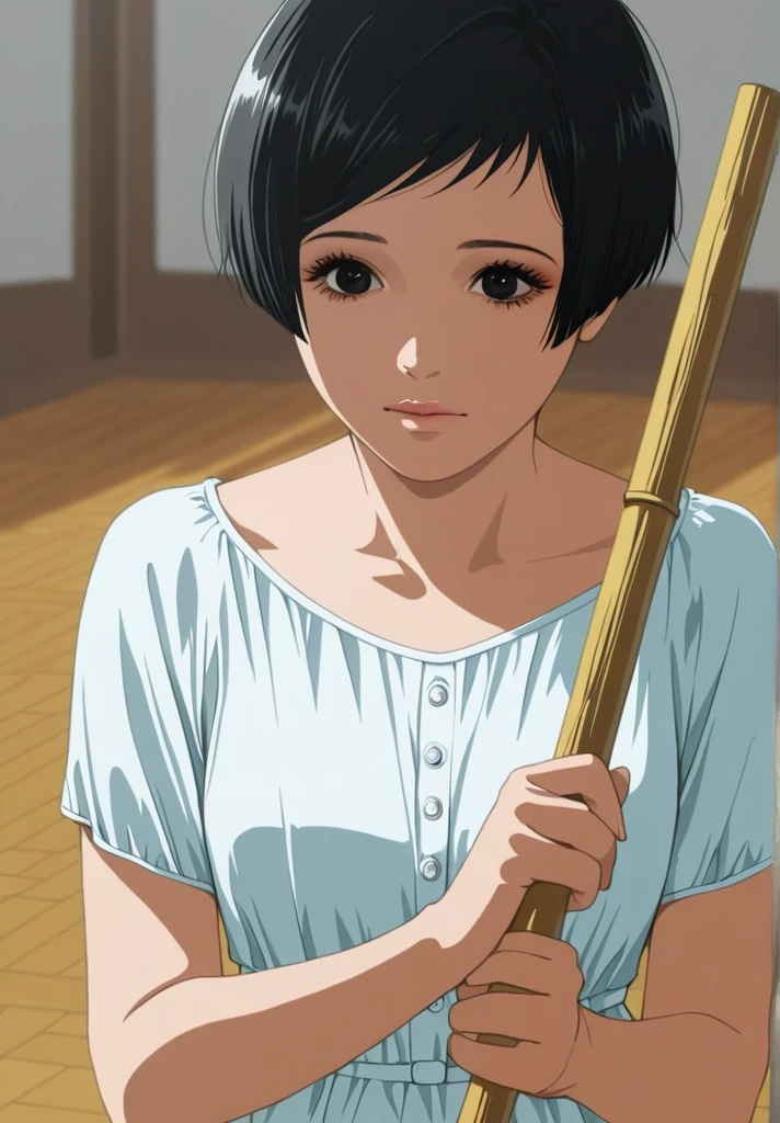 score_9, score_8_up, score_7_up,
1girl, short hair, miwa, eyelashes, anime coloring, black hair, black eyes, realistic, cleaner dress, holding broom sweeping the floor