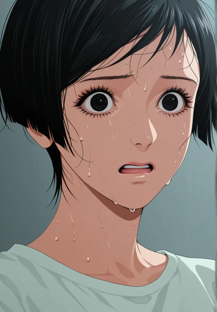 score_9, score_8_up, score_7_up,
1girl, short hair, miwa, eyelashes, anime coloring, black hair, black eyes, realistic, shirt, sweating, shock, suprised
