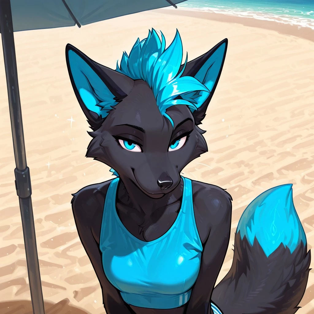Emily the black Fox [Oc owned by Nick118] V1