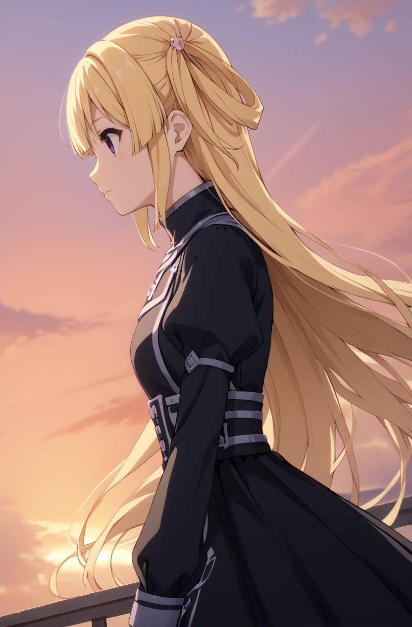 score_9, score_8_up, score_7_up, masterpiece, best quality, amazing quality, very aesthetic, newest, absurdres, highres,
1girl, solo,
 <lora:FujimaSakuraPonyV1:1> fujimasakura, blonde hair, long hair, hair rings, purple eyes,
sky, sunset, floating hair, profile, looking ahead, upper body, dutch angle, black dress, long sleeves, sleeves past wrists, puffy sleeves, bodice, high collar, jewelry, hair ornament,
<lora:modern_anime_screencap_v1_0:0.8> anime screencap, anime screenshot,