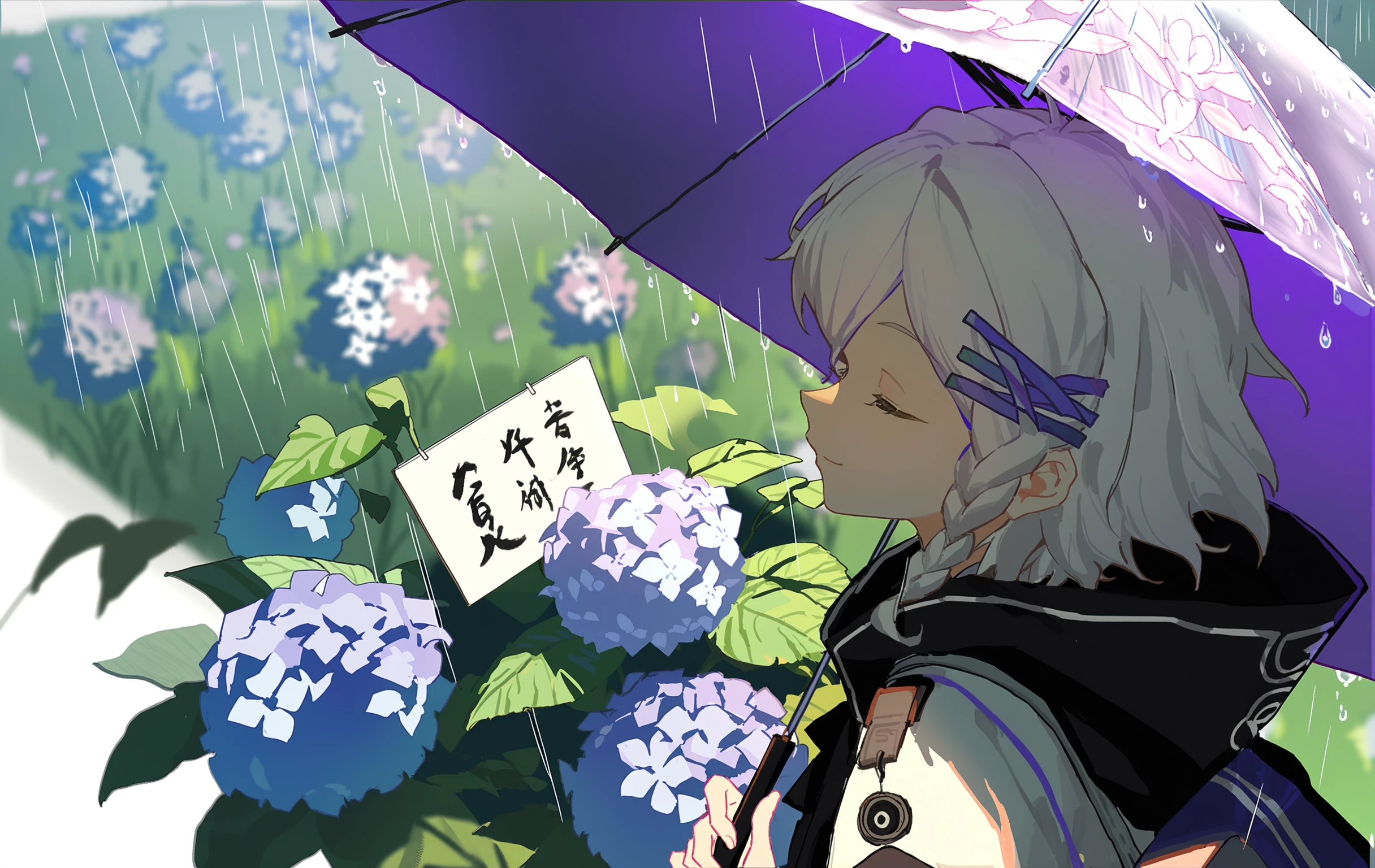 Preview 3