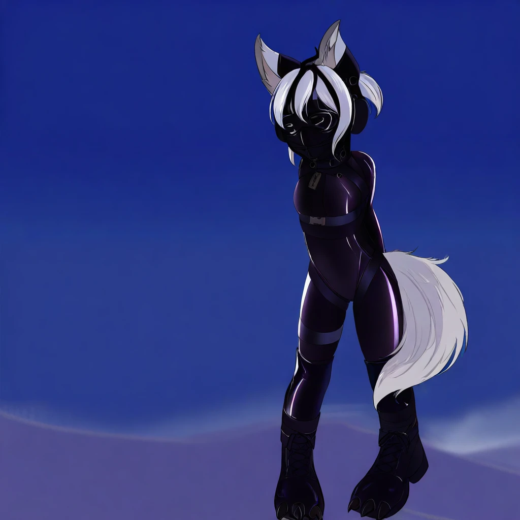 SWGS V1