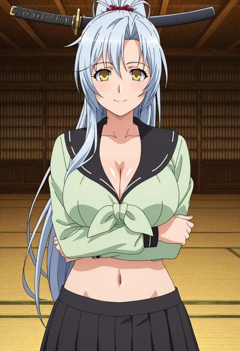 Matabei Gotou [Hyakka Ryouran Samurai Girls] V1
