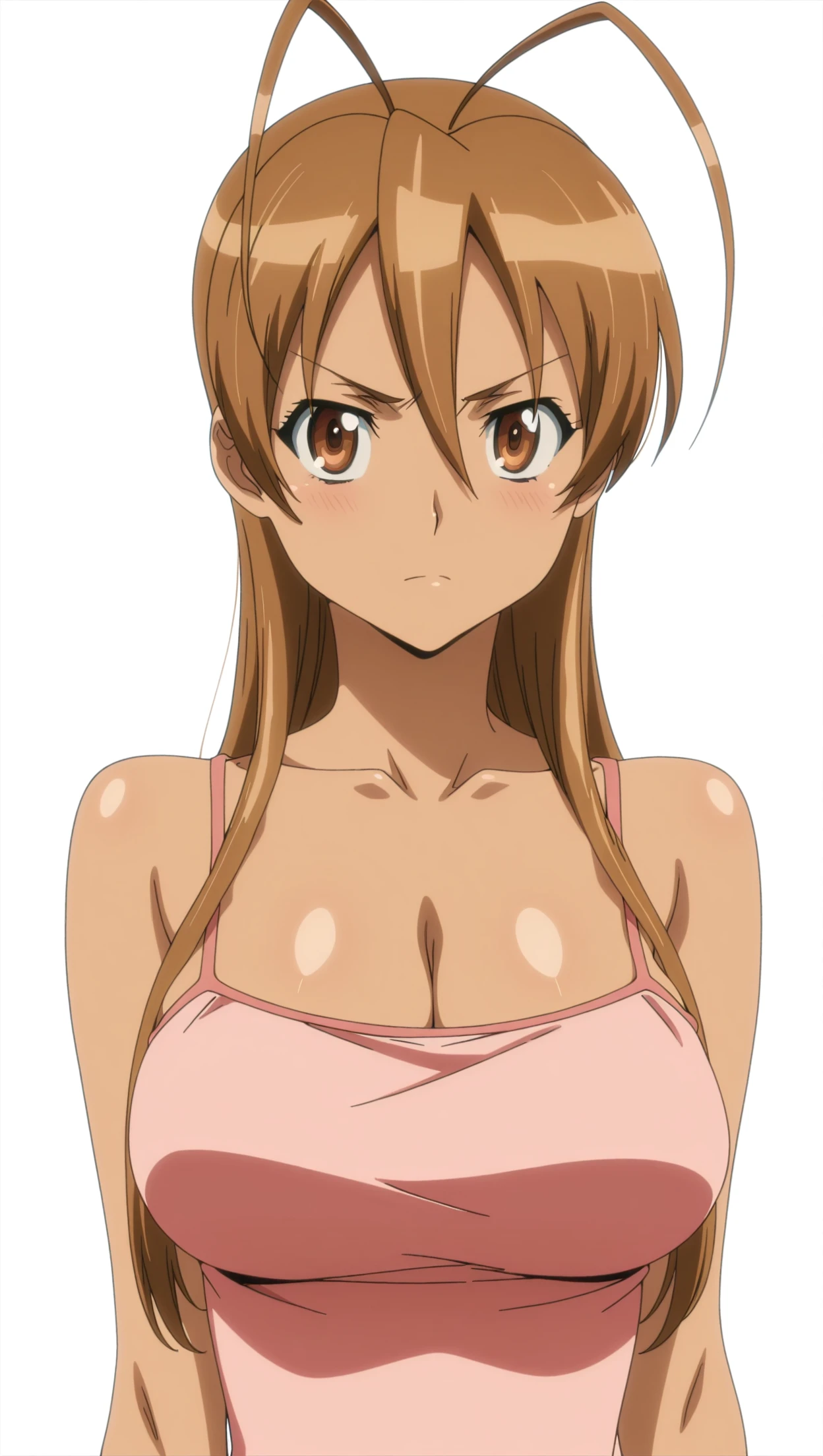 (masterpiece, best quality, detailed),  1girl, solo, looking at viewer, KemiiHS1, long hair, brown eyes, light brown hair, ((((camie utsushimi))))), my hero academia, (((((my hero academia style))))), nude, peaked cap
