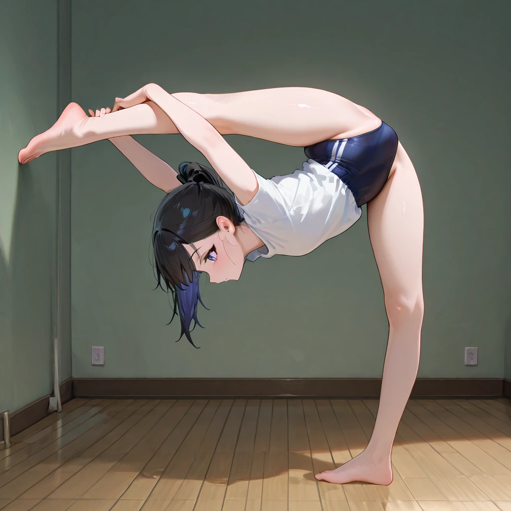 Oversplit with Standing/Sitting Split for NoobAI v1.0