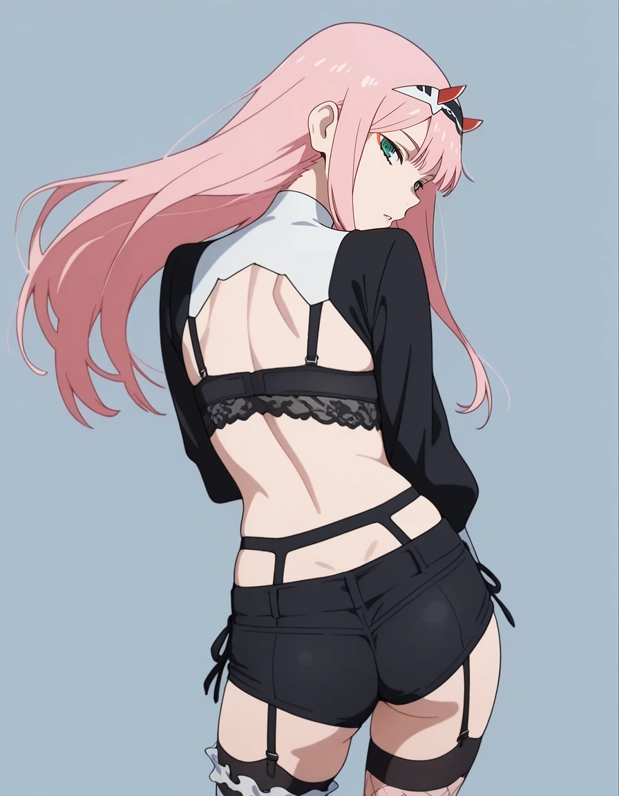 masterpiece,best quality,amazing quality,very aesthetic,high resolution,ultra detailed,perfect details,anime coloring,
simple background,grey background,
1girl,solo,hair,looking at viewer,dynamic pose,
<lora:mai_bad_nun:0.8>,maibadnun,shrug_(clothing),long sleeves,black_bra,midriff,short_shorts,black_shorts,bridal_garter,lingerie,garter_belt,fishnet_thighhighs,hairband,
<lora:zero-two-s1-illustriousxl-lora-nochekaiser:1>,zero two,zero two \(darling in the franxx\),