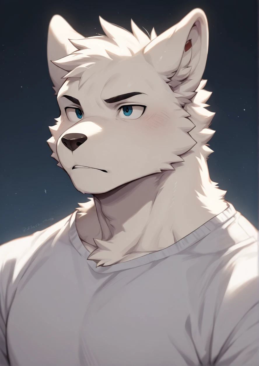 1boy,solo,male focus,(furry male),