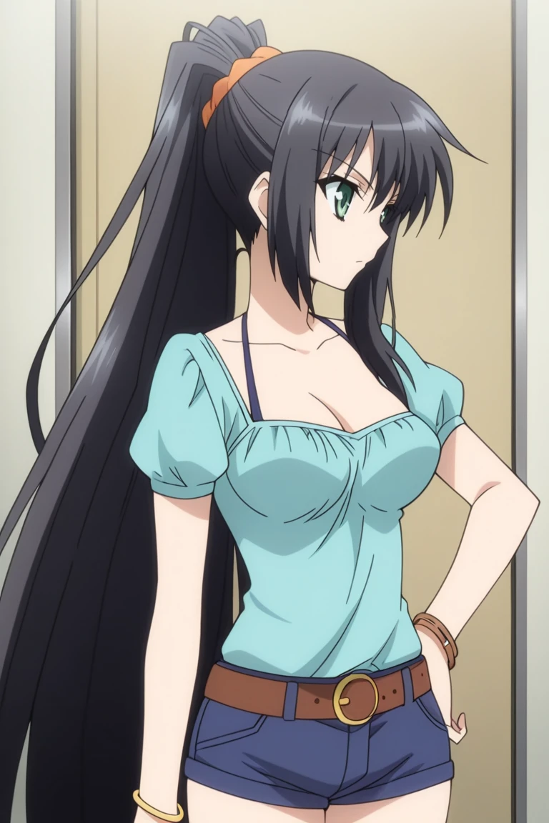 masterpiece , source_anime, ,, ,1girl, long hair, black hair, solo, very long hair, shorts, ponytail, belt, jewelry, hand on hip, , cleavage, bracelet, , blue casual