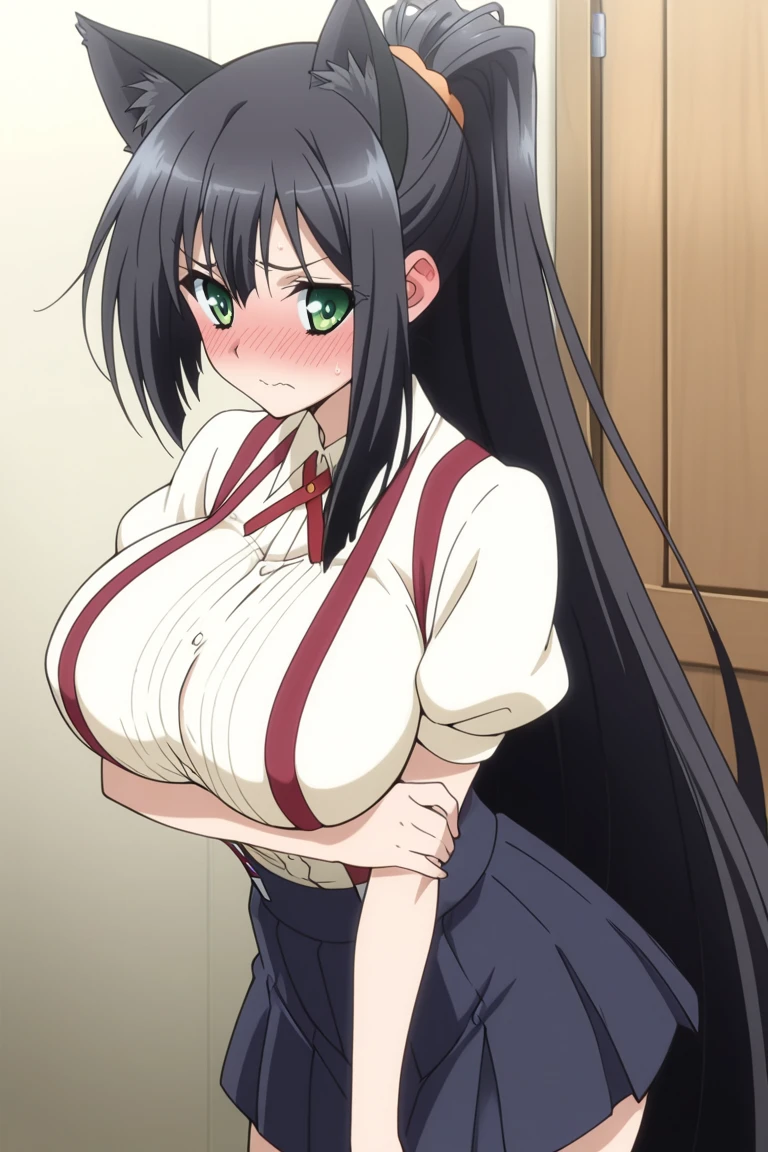 masterpiece , source_anime, ,, ,1girl, solo, animal ears, long hair, , cat ears, green eyes, ponytail, blush, black hair, embarrassed, very long hair, suspenders, skirt, white shirt, ,  , holding arm