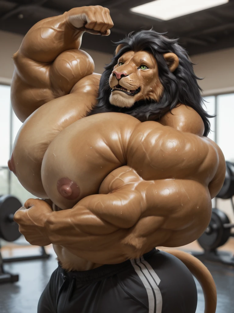 Hyper Pecs NAIXL v1.0