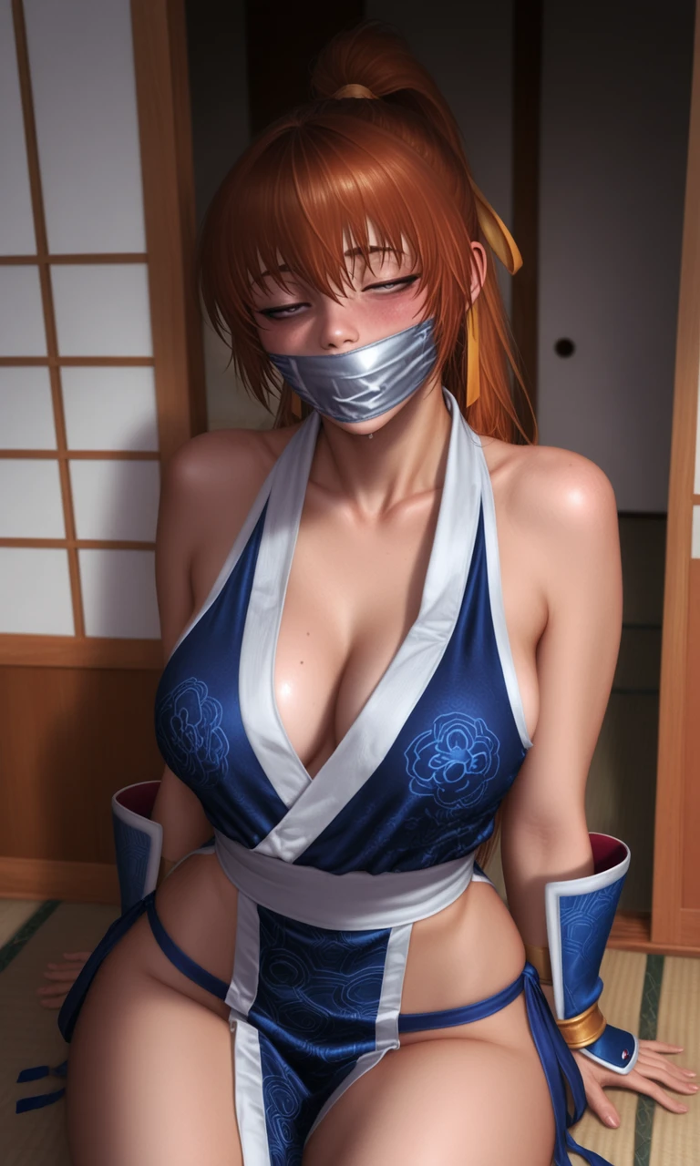 Duct Tape Gag / Blindfold  (IL) v1.0