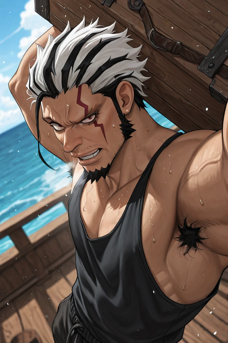 anime screencap,

robex-1male focus, white-black_robex_hair, black_robex_facial mark, reddish yellow_robex_eyes, veins, manly, looking at viewer, parted lips, breath, cocked eyebrow,

carrying crate over shoulder, [armpit hair peek], sweating, sweatdrop, sexually suggestive,

broad shoulders, tank top, alternate costume, intricately detailed clothes,

blurry background, wooden ship deck, ocean horizon, cloud,

close-up, foreshortening, dynamic angle, dynamic action, atmospheric perspective, depth of field, cinematic, light particles, visual effects,

masterpiece, best quality, amazing quality, very aesthetic, absurdres, newest, very awa