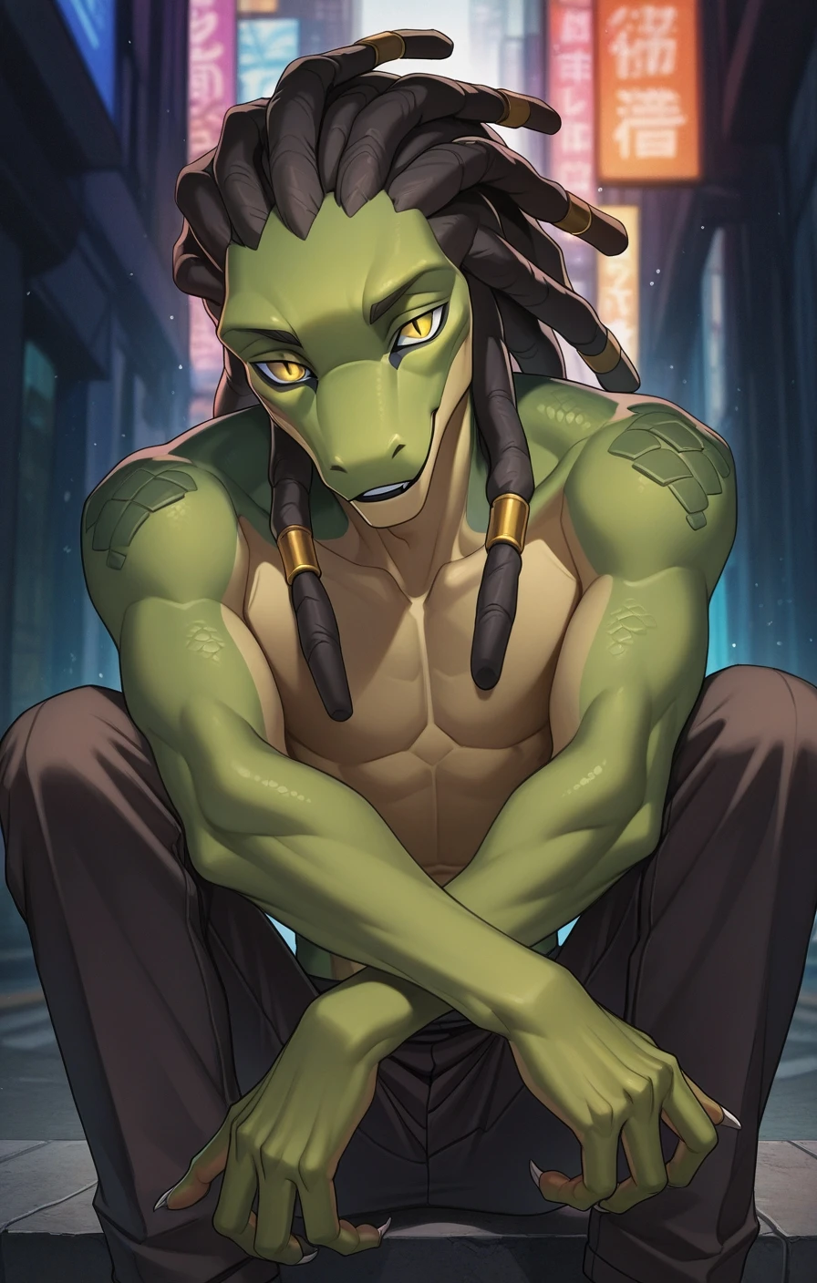 Wildering Artist Style - Illustrious Illustrious