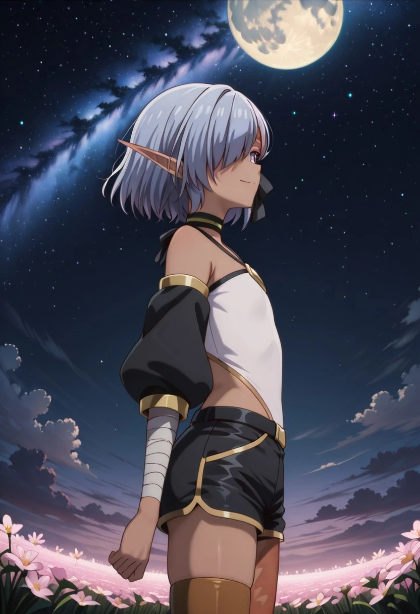 masterpiece, best quality, amazing quality, dynamic view,  solo, dynamic view,  solo, 1girl, masterpiece, best quality, bokeh, luminescent background, 
(cariaerful,,
 dark elf, dark-skinned female, short hair,  blue hair, hair over one eye, blue eyes, pointy ears, bandaged arm, black choker, burn on face, burn on side, burnt arm, burnt leg, flat chest,,
 white top,  halterneck, bare shoulders,  detached sleeves, black shorts, short shorts, single thighhigh, boots,,
) 
 from side, from below, cowboy shot, standing, arm up, happy, light smile, Looking up at the sky, Flower Field, moon, outdoors, night sky, strarry sky, milky way, scenery,