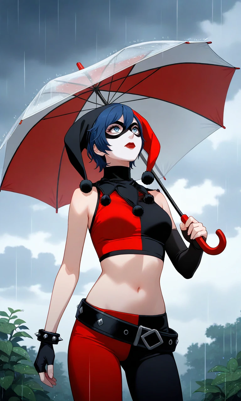 Harley Quinn(Assault On Arkham)(cosplay\outfit) v1.0