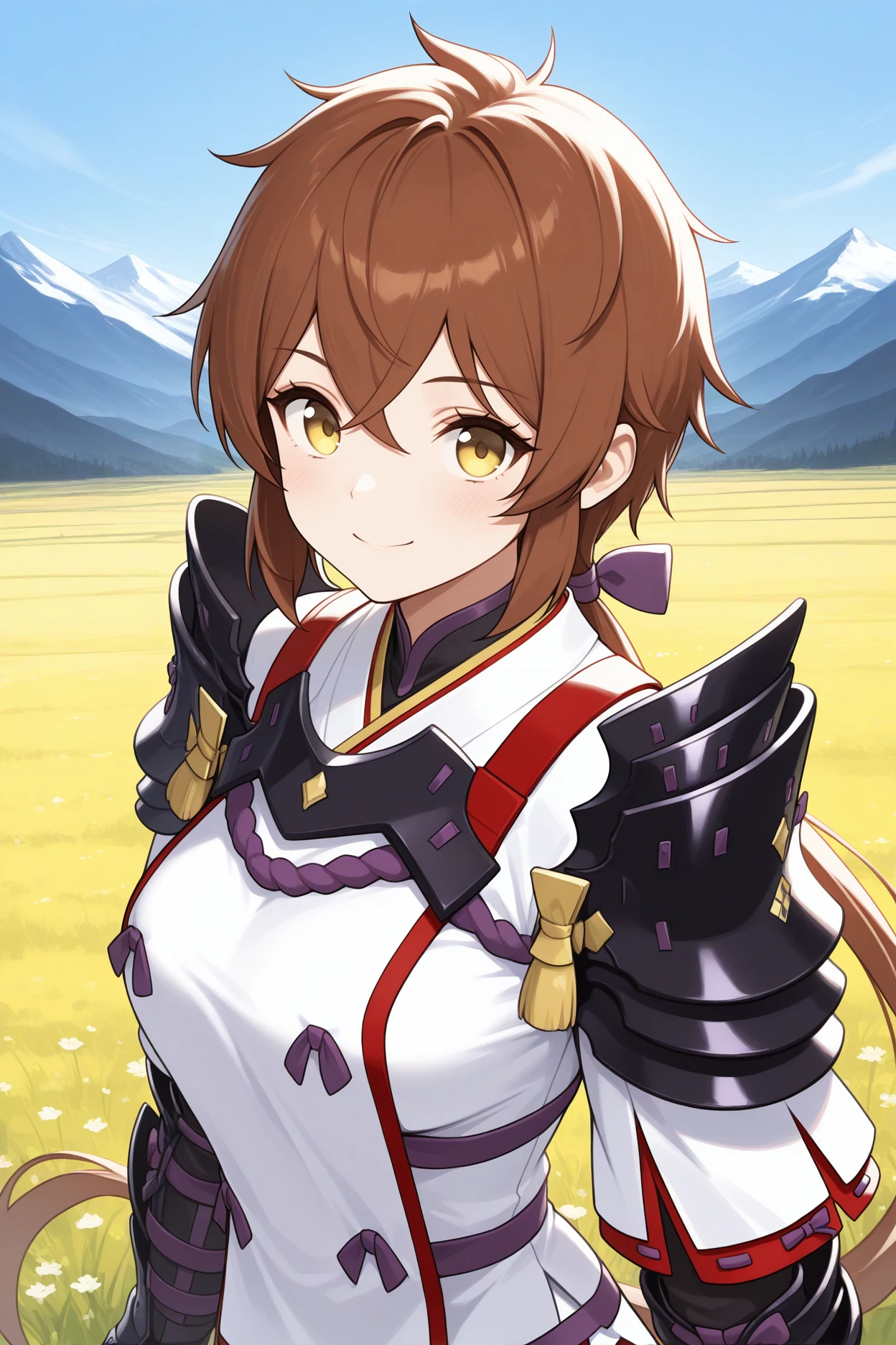 masterpiece, best quality, 1girl, solo, <lora:xclora-illu-nvwls-v1-000006:1> xclo, brown hair, low ponytail, hair between eyes, yellow eyes, black armor, shoulder armor, gauntlets, white tunic, ribbon trim, short sleeves, , black gloves, fingerless gloves, elbow gloves, medium breasts, upper body, looking at viewer, smile, blue sky, field, mountains, arms at sides