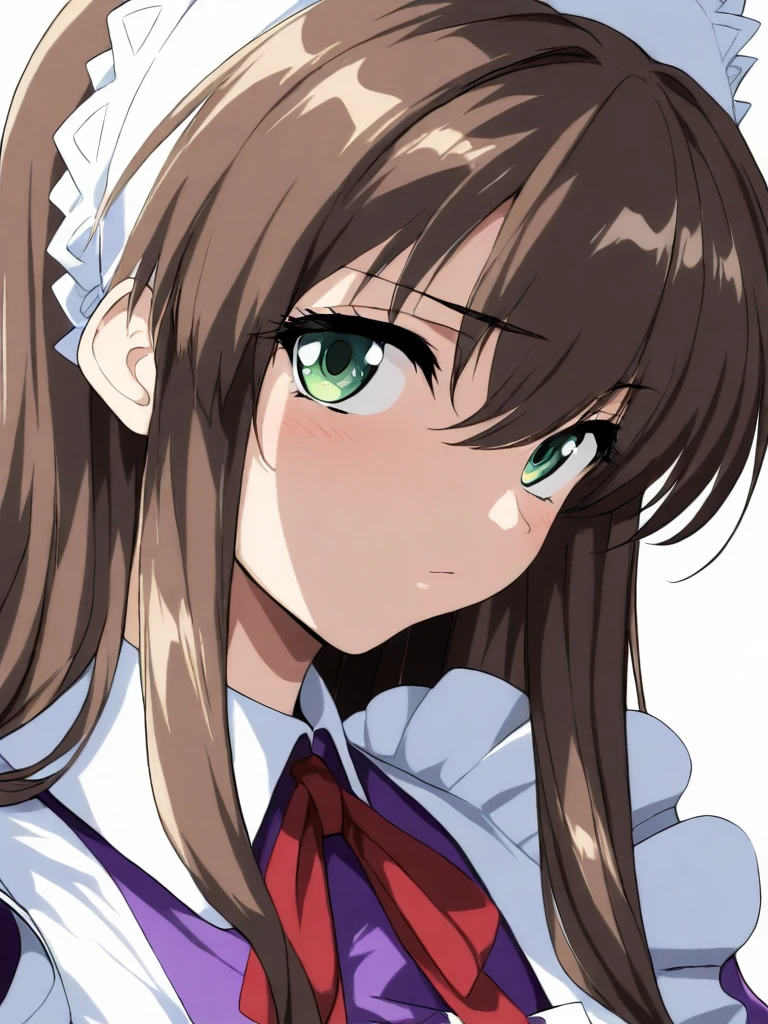 masterpiece,high score,great score,absurdres,looking at viewer,solo,portrait,white background,<lora:CharlotteVerlaine ag4o:1> charlotteverlaine, brown hair, long hair, green eyes,maid headdress,maid,