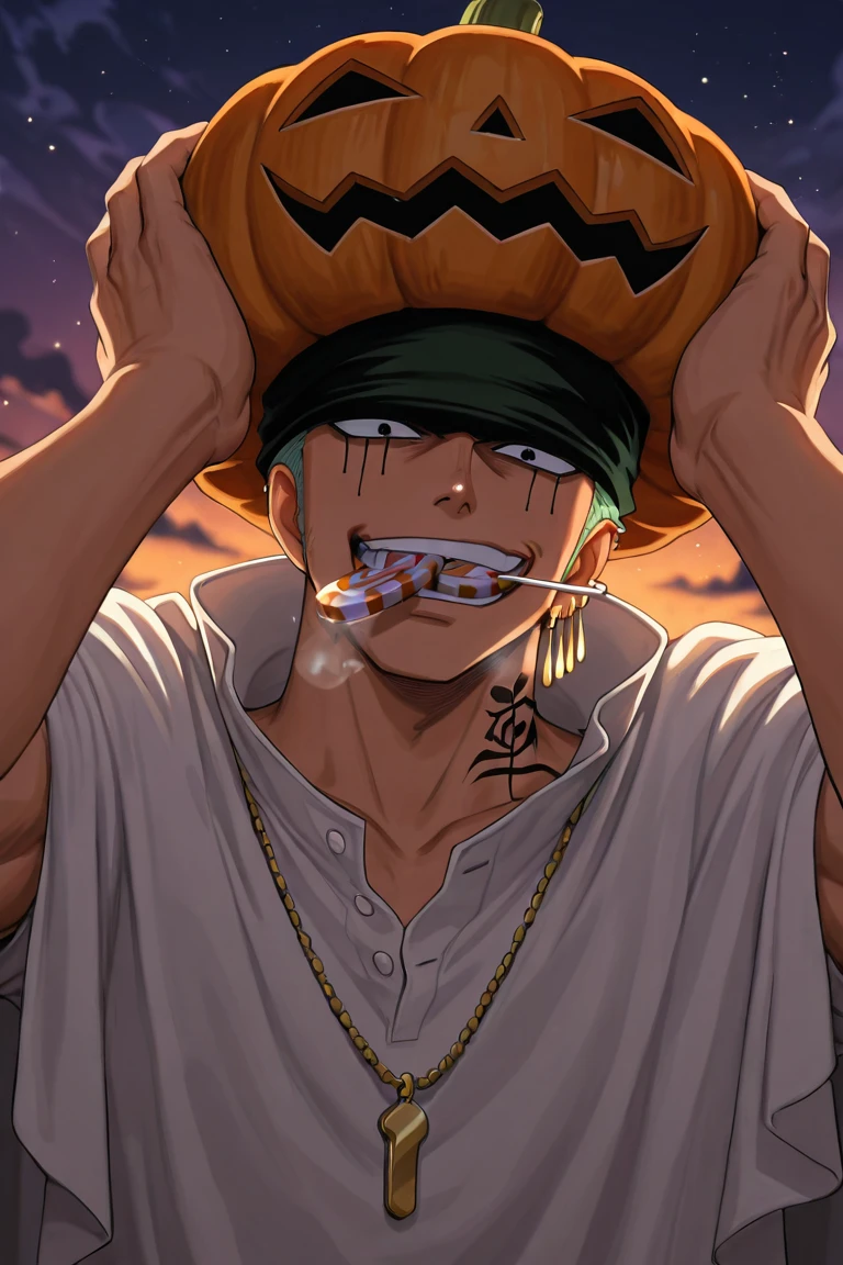 Roronoa Zoro | One Piece🏴‍☠ 🌻🌻ILXL🌻🌻