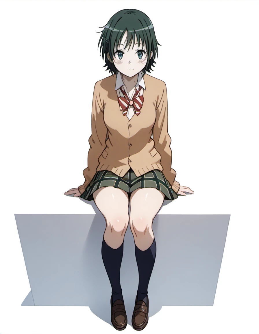 masterpiece, best quality, absurdres, <lora:fukasaku_aoi_IL:1>, aoi_(coppelion), 1girl, solo, single, only_one, short hair, green hair, school uniform, cardigan, plaid skirt, green skirt, pleated skirt, kneehighs, loafers, on a plain white background, studio background, simple_background, eye-level shot, straight-on front view, full body, standing, looking_at_viewer, centered composition, symmetry, sitting,