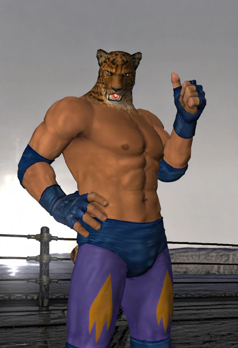 King (Tekken Tag) (P1) (PS2) [3D](ingame) [32DIM][12E]