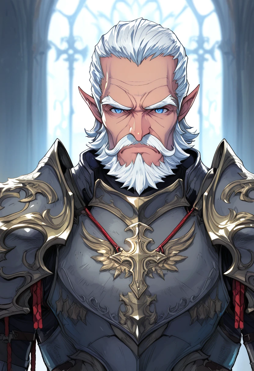 male focus, 1boy, facial hair, mustache, armor, solo, white hair, old man, beard, blue eyes, old, breastplate, pointy ears, upper body, looking at viewer, pauldrons, shoulder armor, mature male, wrinkled skin, cross, scar, thick eyebrows, manly, rope, serious, frown, closed mouth, v-shaped eyebrows, detailed background
 <lora:exosheroes:0.9> exosheroes, masterpiece, best quality, highres, absurdres
