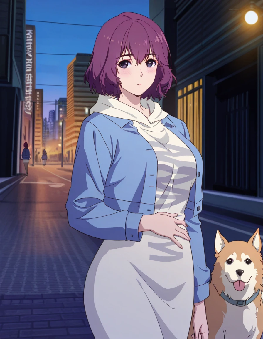 masterpiece, best quality, amazing quality,, <lora:tang-rou-s1-illustriousxl-lora-nochekaiser:1>, tang rou, short hair, purple eyes, purple hair, mature female, medium breasts, anime screencap, jacket, hood, hoodie, blue jacket, dress,, hand on stomach, blush,, city street, evening, streetlights, walking dog, quiet neighborhood, gentle breeze, cowboy shot, solo, looking at viewer,