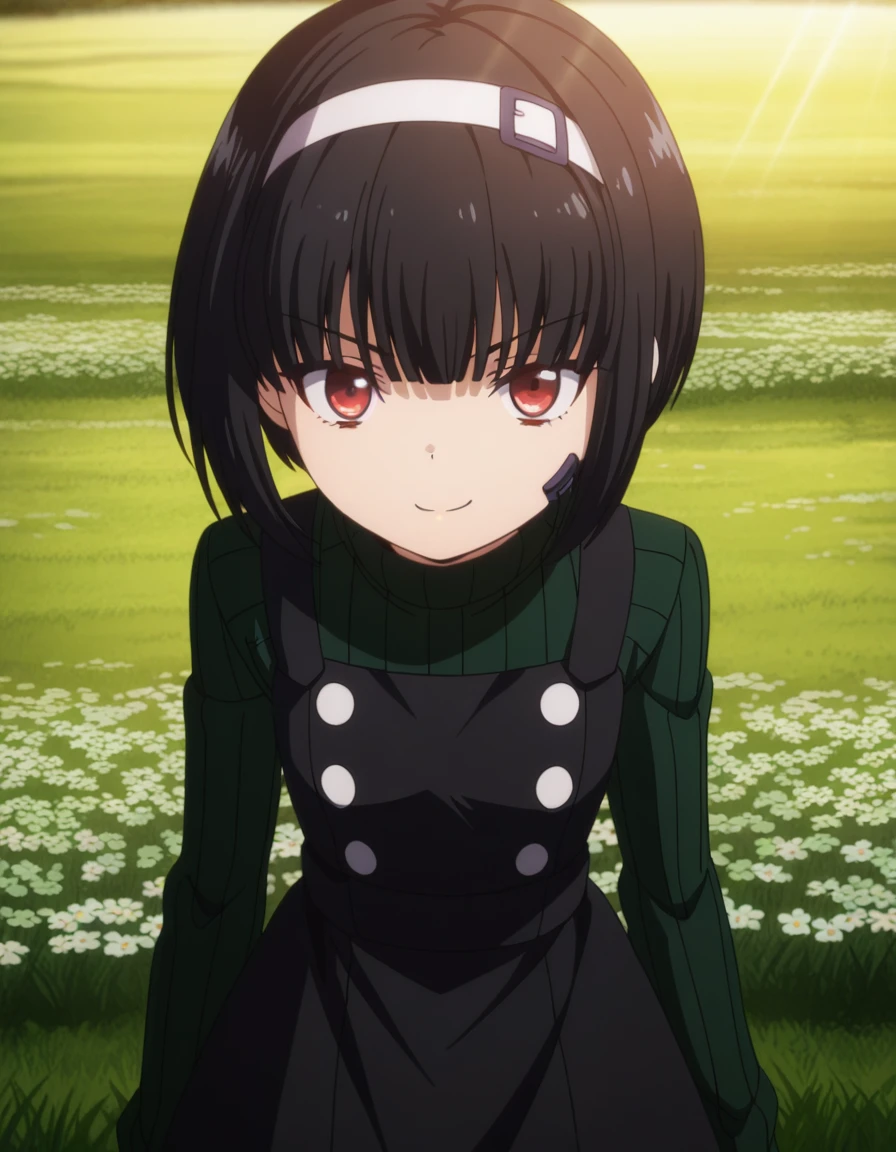 masterpiece, best quality, amazing quality,, <lora:fumiya-kuroba-s2-illustriousxl-lora-nochekaiser:1>, fumiya kuroba, black hair, red eyes, short hair, anime screencap, bangs, dress, hairband, sweater, turtleneck, bob cut, green sweater, black dress,, smug, meadow, grass, flowers, open, sunlight, cowboy shot, solo, looking at viewer,