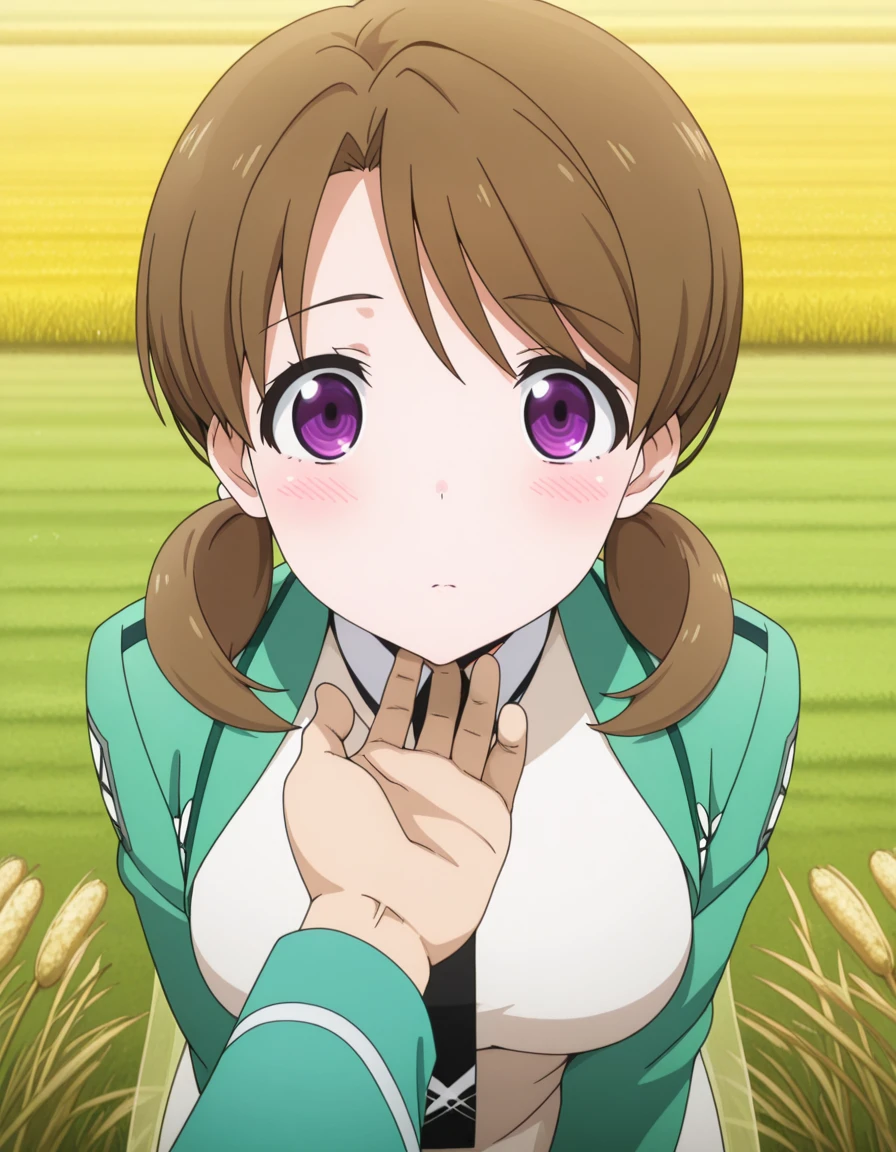 masterpiece, best quality, amazing quality,, <lora:honoka-mitsui-s2-illustriousxl-lora-nochekaiser:1>, honoka mitsui, bangs, brown hair, twintails, purple eyes, low twintails, mature female, medium breasts, anime screencap, dress, jacket, pantyhose, necktie, white dress, black necktie, green jacket, <lora:stroking-anothers-chin-pov-illustriousxl-lora-nochekaiser:1>, stroking another's chin pov, stronking another's chin, pov, pov hands, blush, upper body, field, grass, open_space, farming, crops, cowboy shot, solo, looking at viewer,