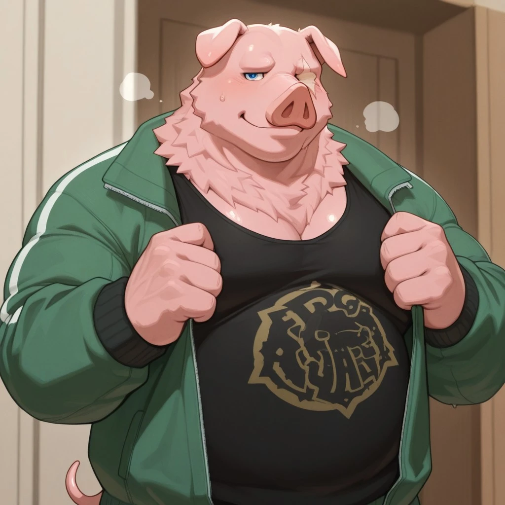 Ichimato kokudoshi characters pig v1.0