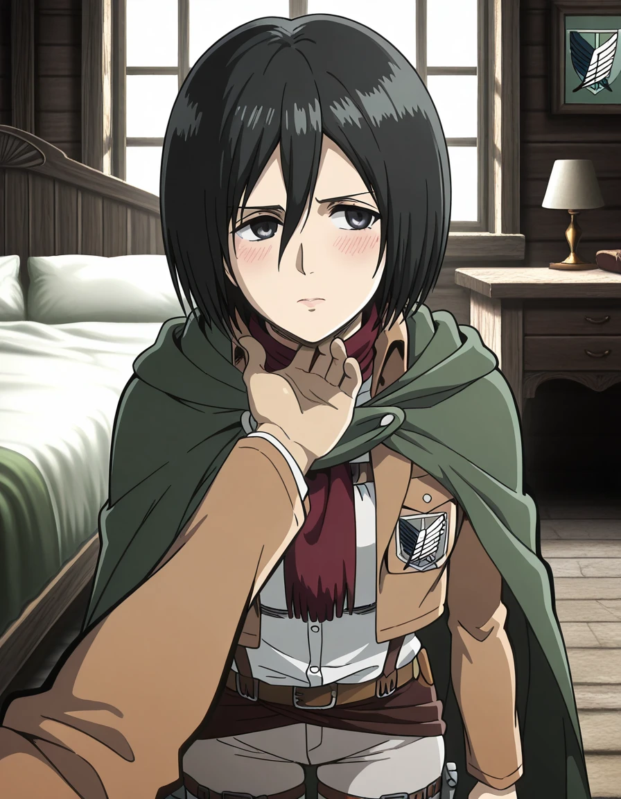 Mikasa Ackerman (ミカサ・アッカーマン) - Attack on Titan (Shingeki no Kyojin) (進撃の巨人) - COMMISSION