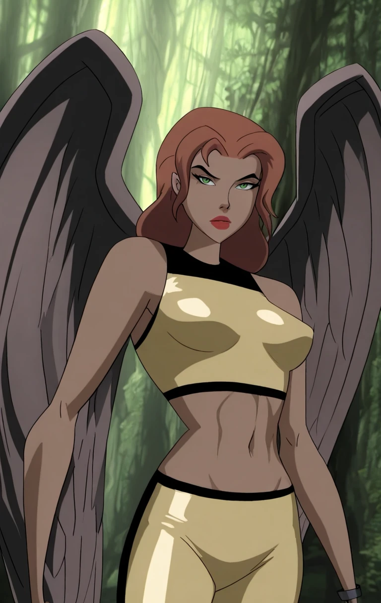 HawkGirl from Justice League Unlimited v1.0