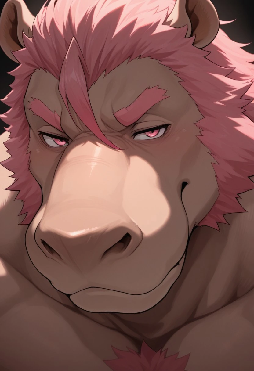 Takuma ayabi characters hippopotamus pink v1.0