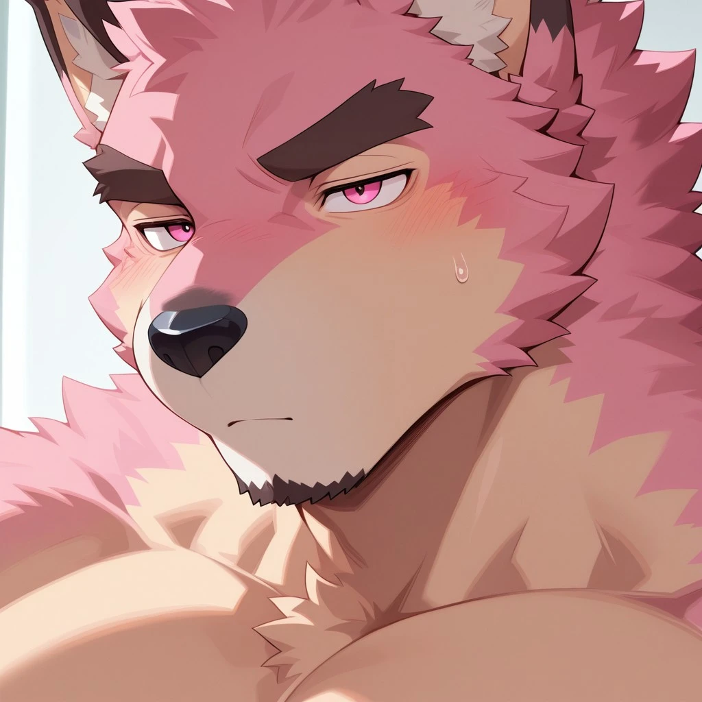 Kansai koshinami characters pink wolf v1.0